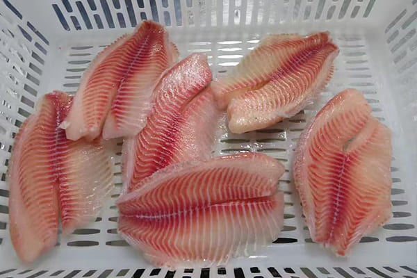 Tilapia Fillet Factory Processing