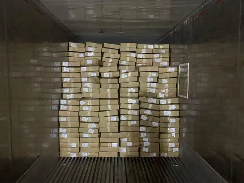 Frozen fish container loading for export shipment