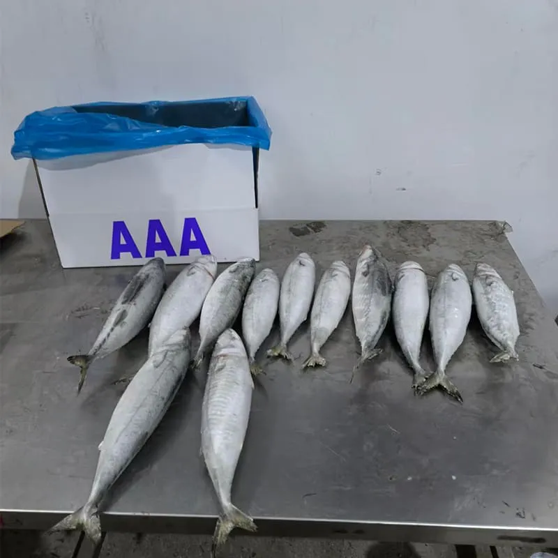 Pre-shipment inspection for frozen fish export container loading