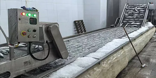 Frozen fish processing photo for product form confirmation