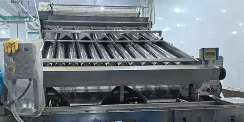 Frozen fish size grading process for bulk export orders