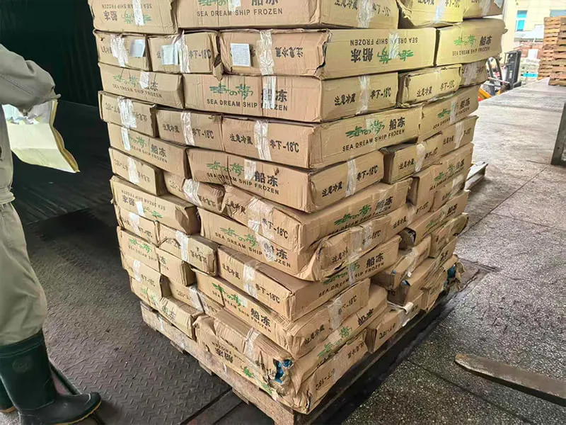 10kg 15kg carton packing for frozen fish