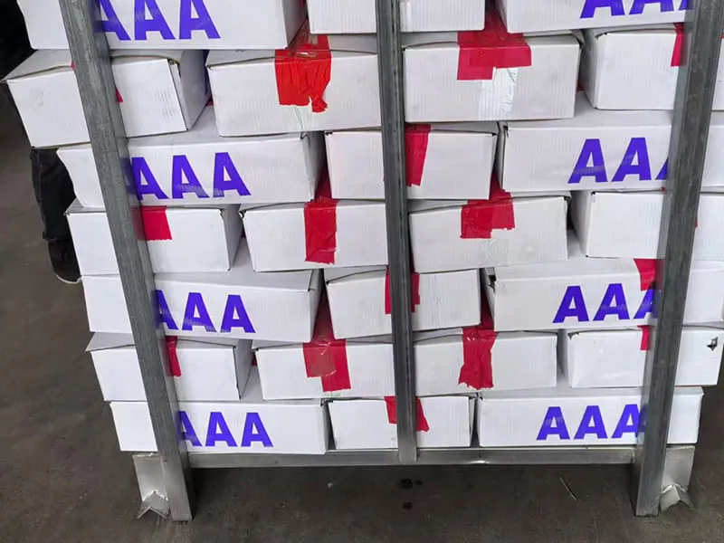 Frozen fish carton stock before container loading