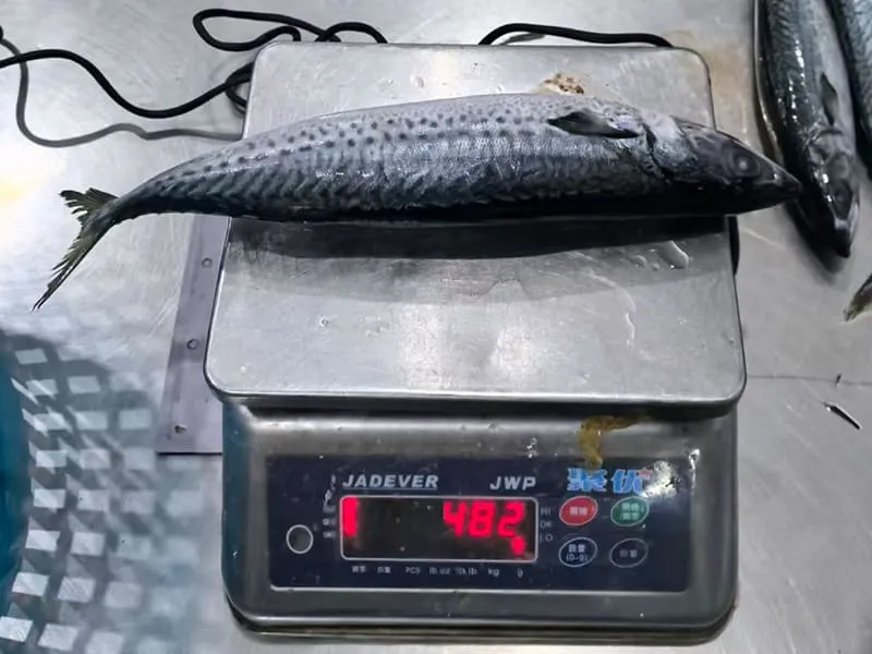 Deglazed net weight test for frozen fish