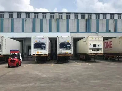 Frozen tilapia whole cold storage and export loading facility
