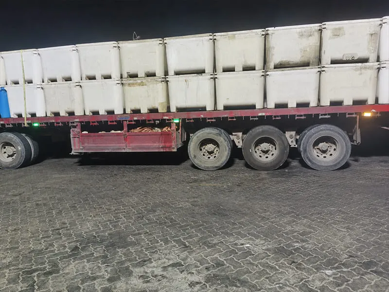 Port landing and crane unloading frozen fish