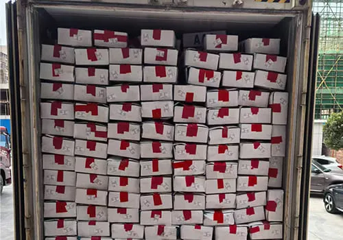 Frozen fish container seal number photo for shipment record