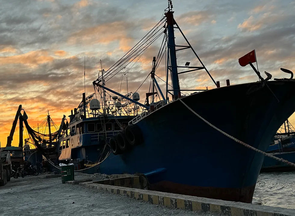 Youngfor Fishery Fishing Vessels