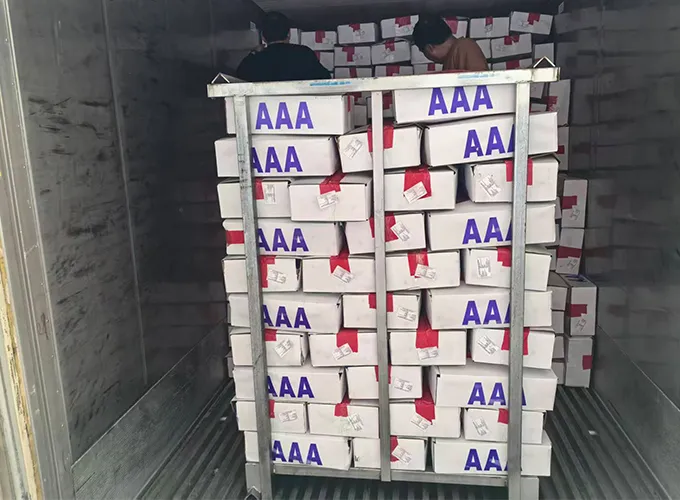 Cold chain transportation
