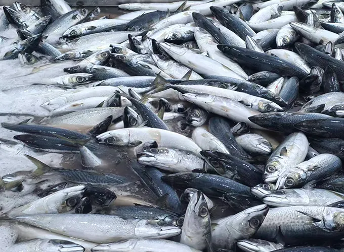Frozen fish processing environment