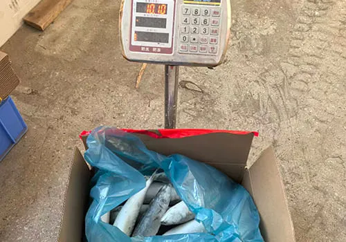 Check Product and Packing