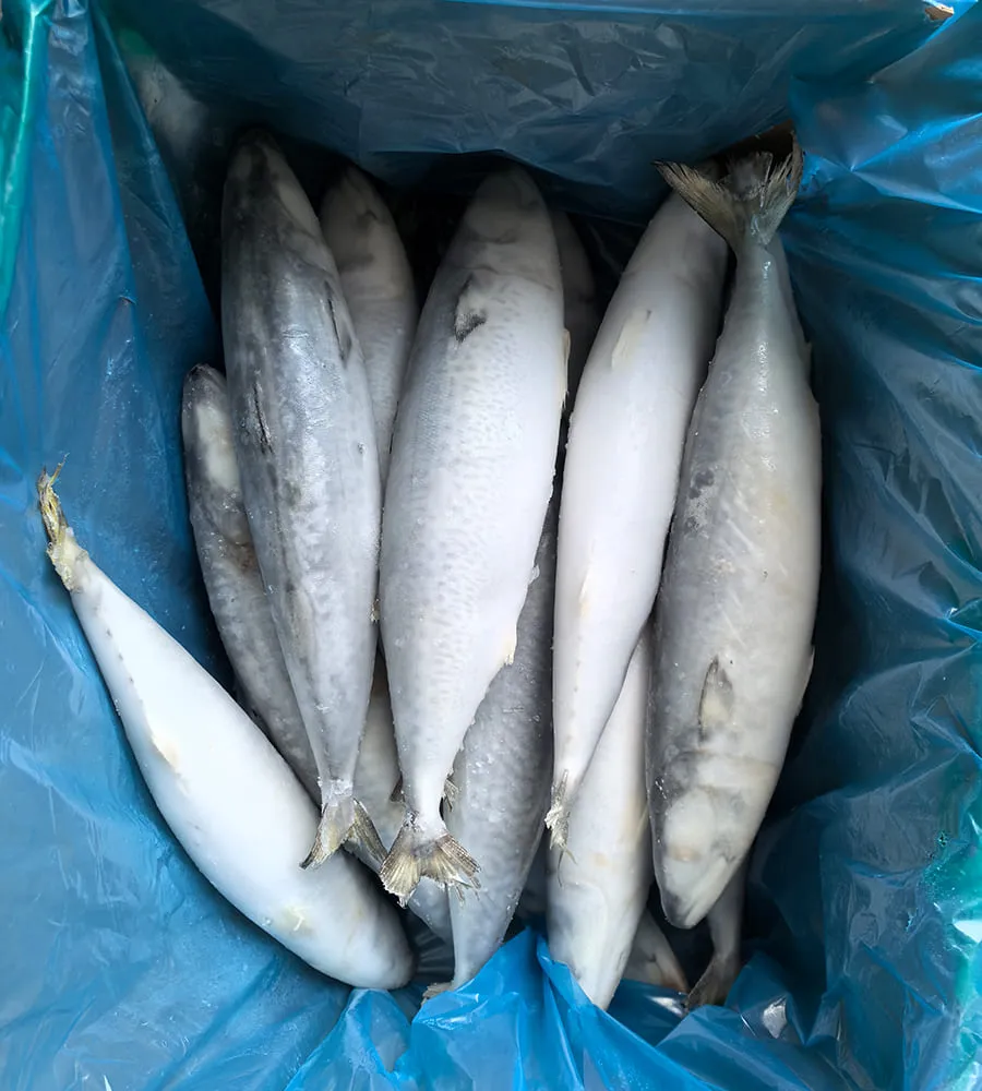 Frozen fish order preparation checklist before processing and loading