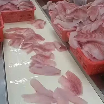Frozen fish processing line for whole fish and fillet orders