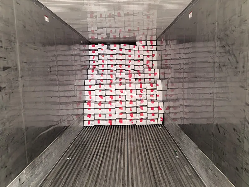 Frozen fish container loading completed before shipment