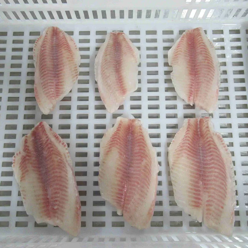 Frozen tilapia fillets product overview with skinless and IQF options