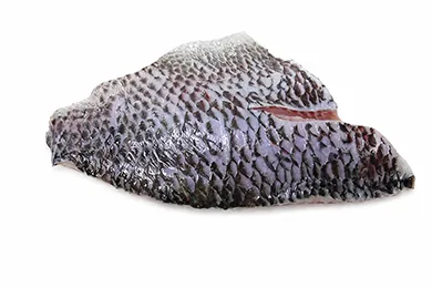 Skin-on frozen tilapia fillets for foodservice and processing buyers