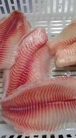 Glazing and net weight check for frozen tilapia fillets